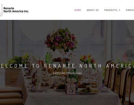 Website Design Launch Renarte ESimplified